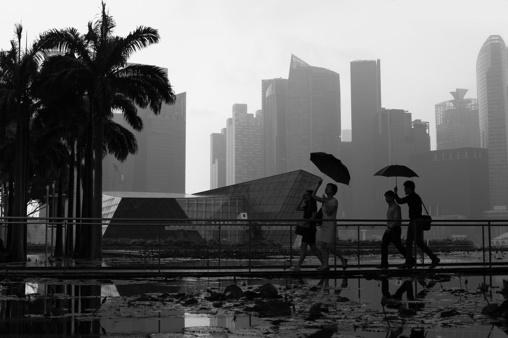 Дождливый Сингапур