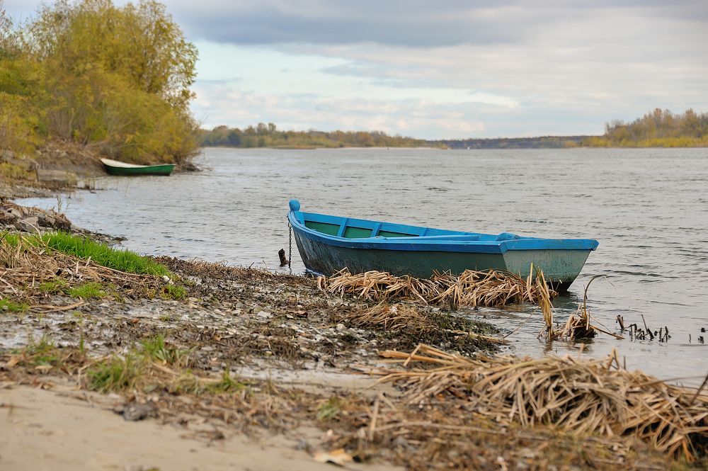 Донской пейзаж