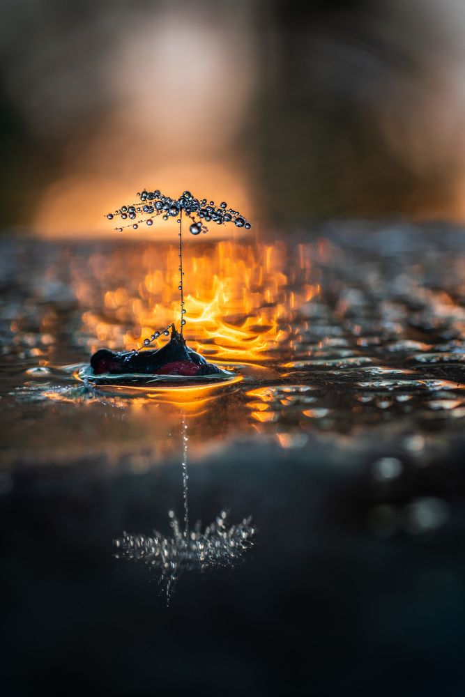 Micro raindrops tree