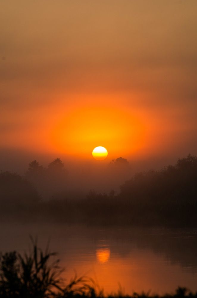 Photograph by Евгений Новицкий