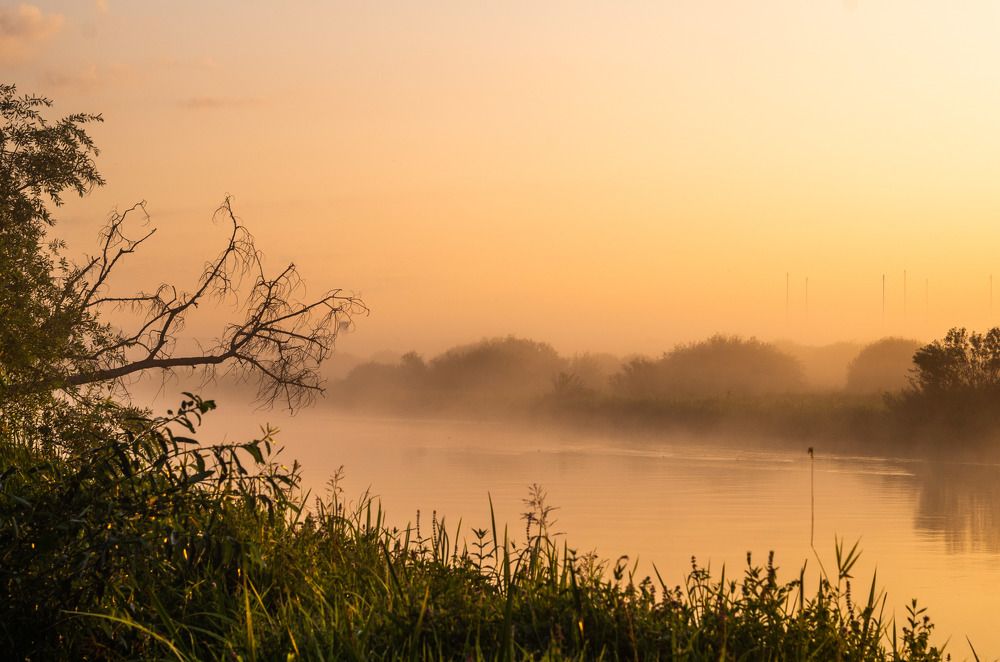 Photograph by Евгений Новицкий