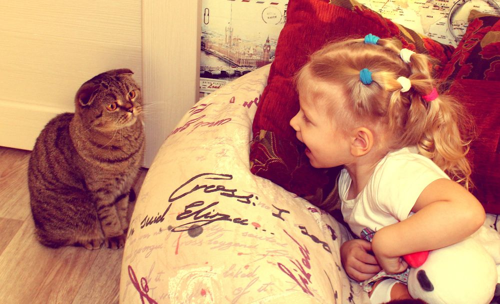 Photograph by Наталья Вахитова