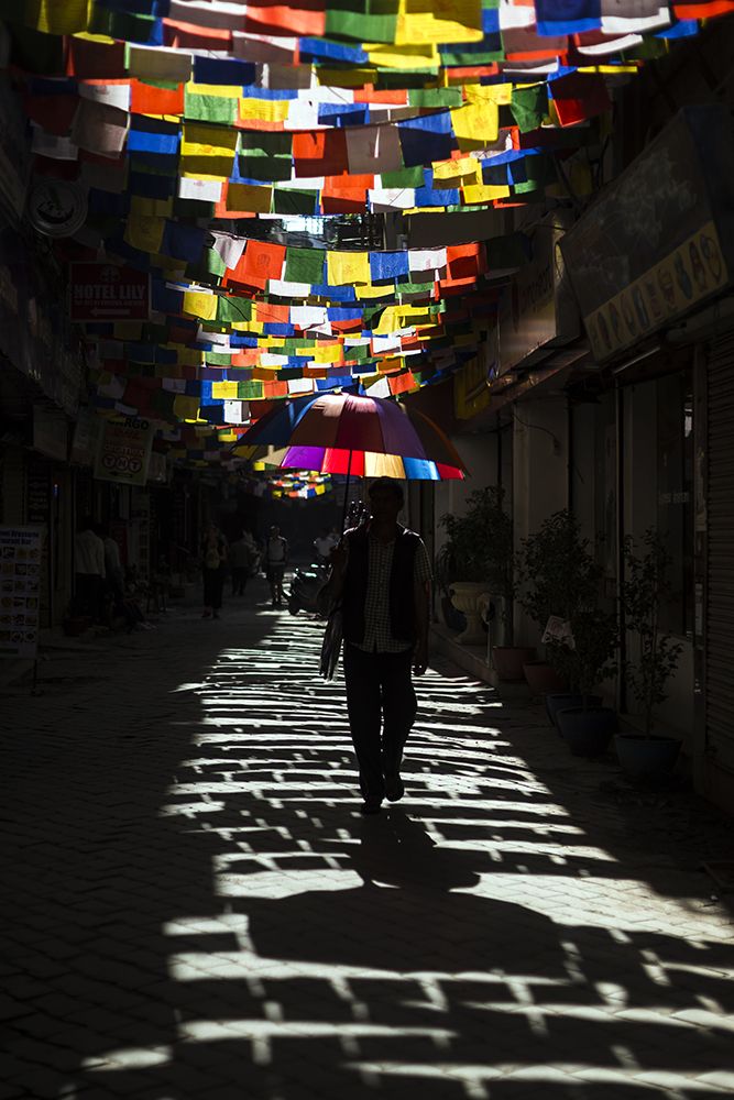 I like vibrant colors.