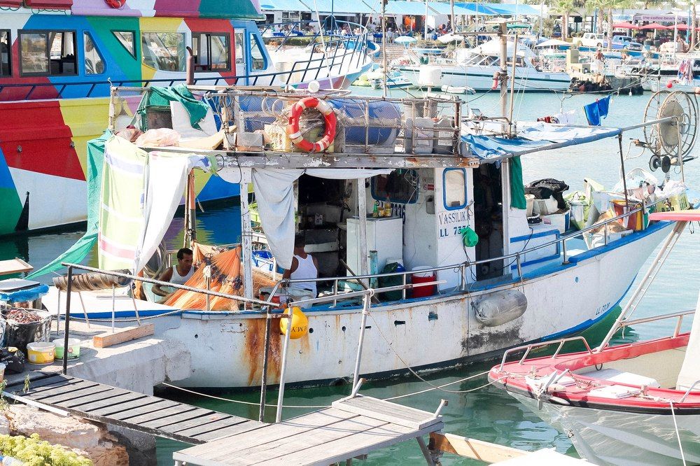 Photograph by Комарова 