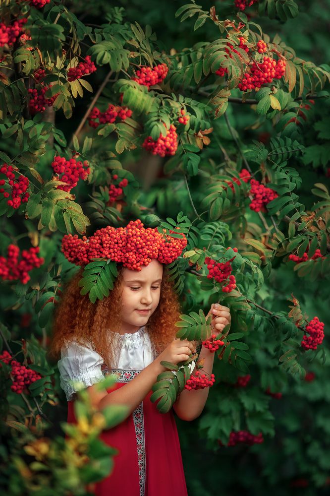 Рябины гроздья алые