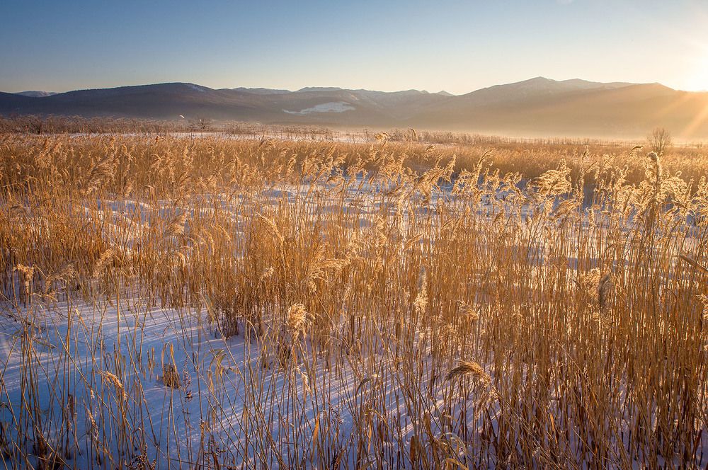 Утро февраля