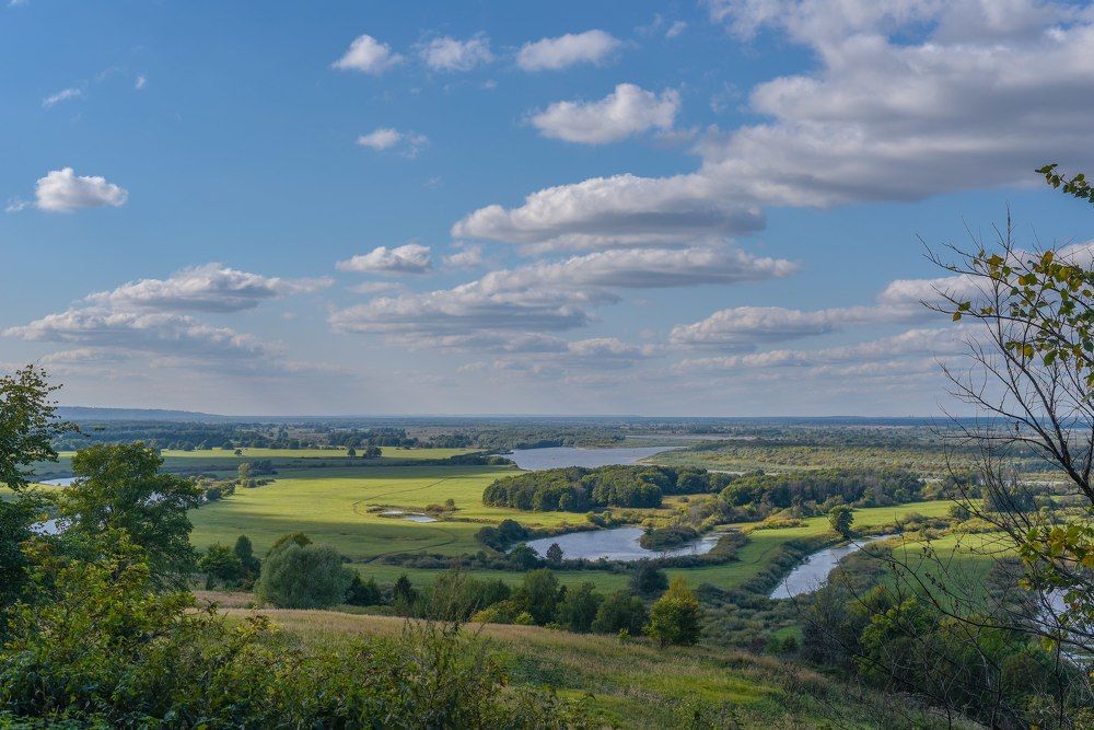 Летний день