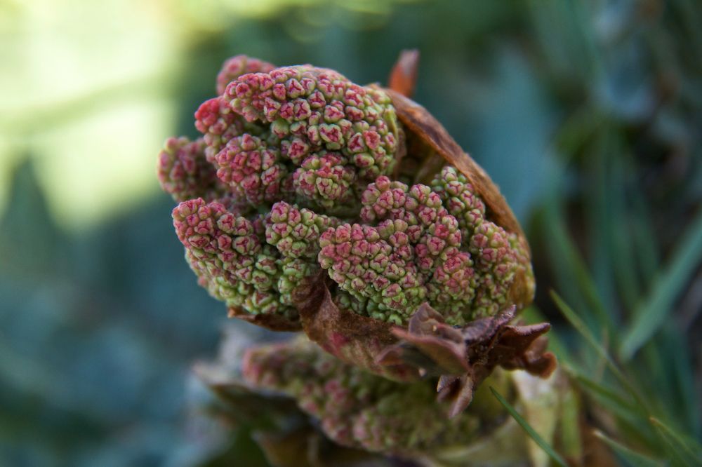 Photograph by Алёна Гильмуллина