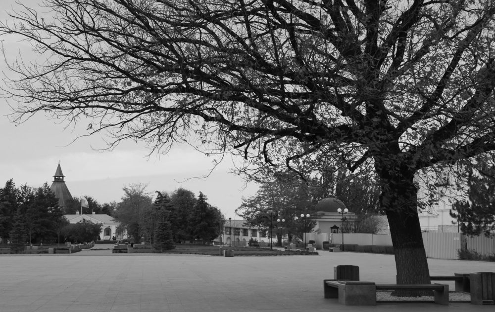 Photograph by Дарья Юсарева