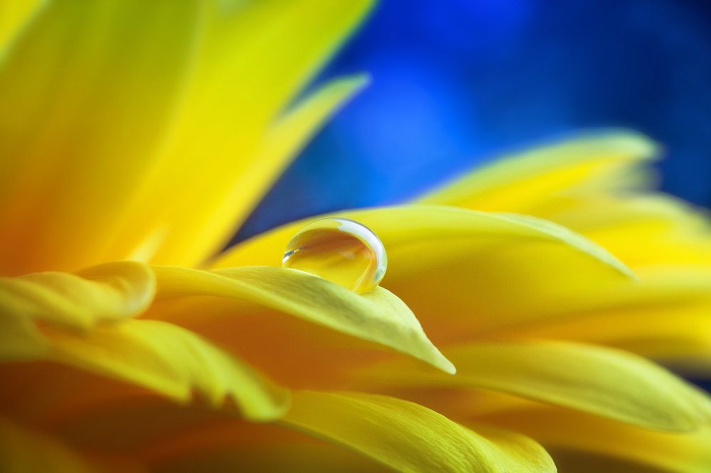 Photograph by Кабыжакова Валерия