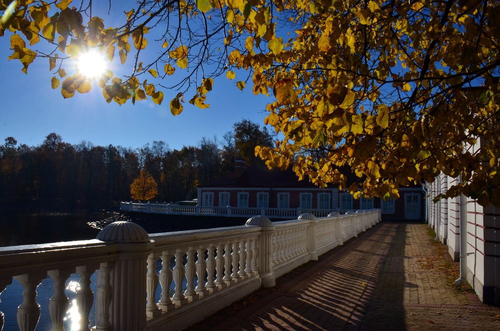 Утро в Петергофе