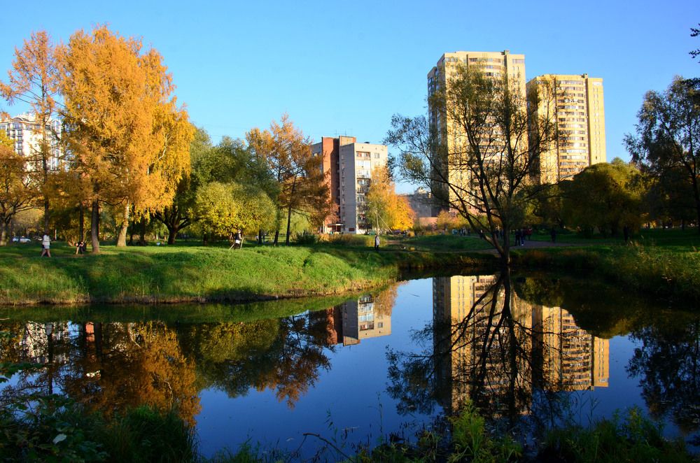 Осень в Александрино