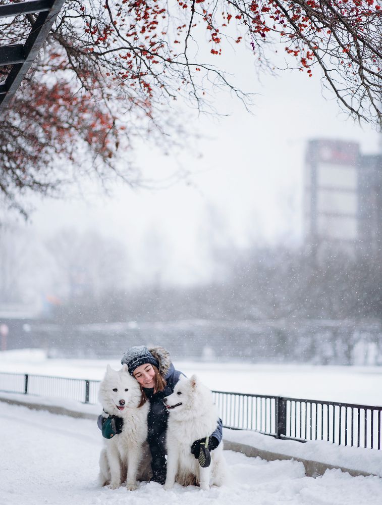 Зимняя сказка