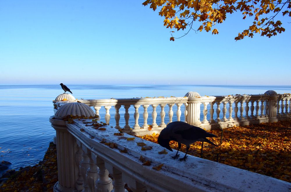 Набережная Финского