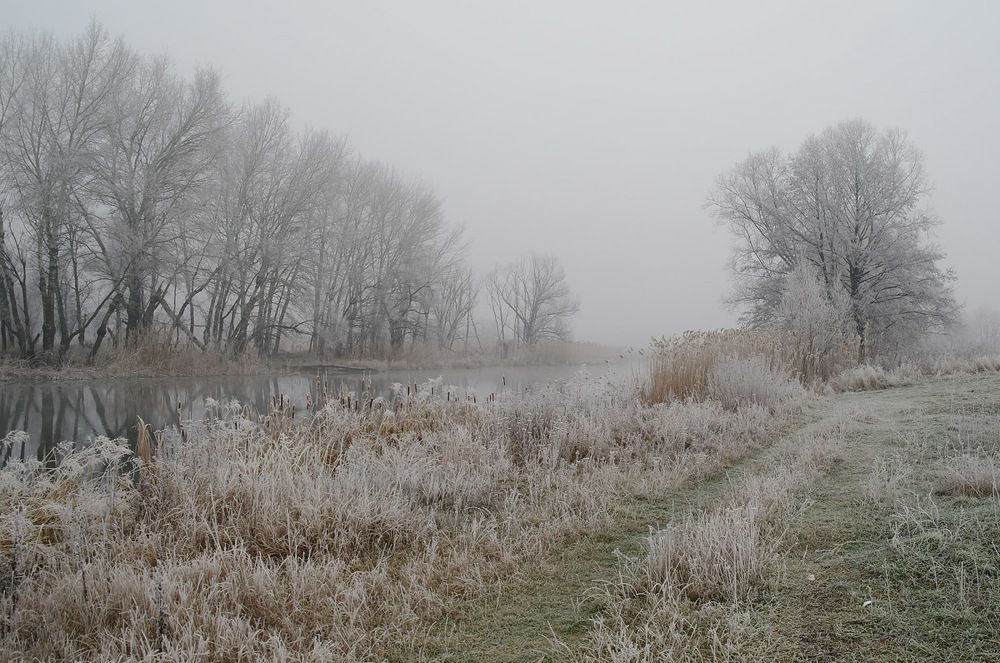 Photograph by Евгений Кулик