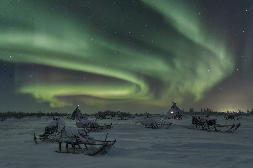In the reindeer herders' camp