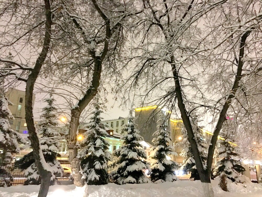 Зимний Московский сквер