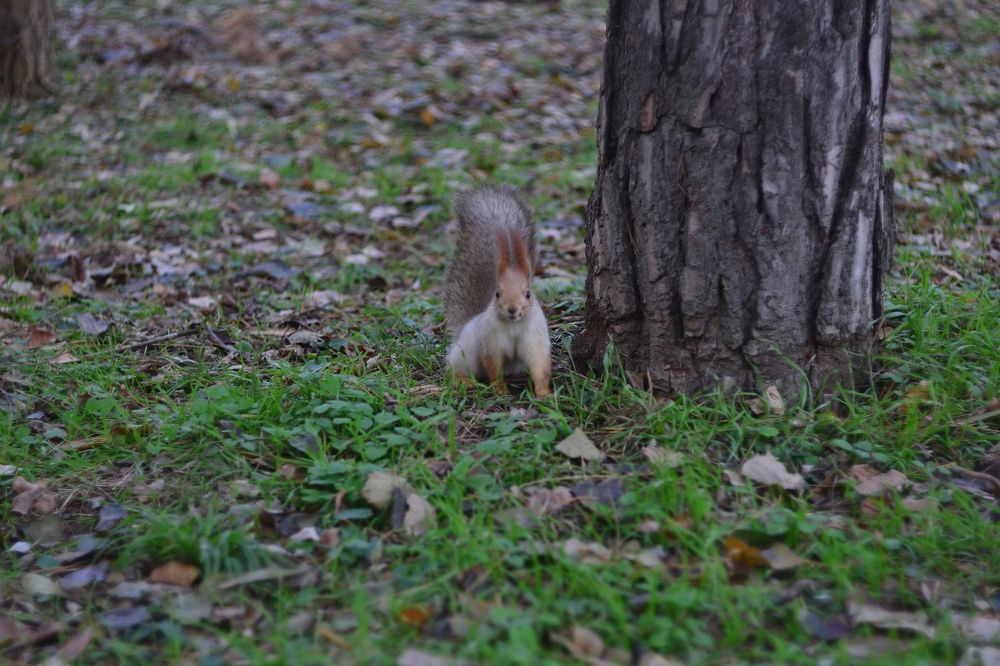 Photograph by Дмитрий Лебедев