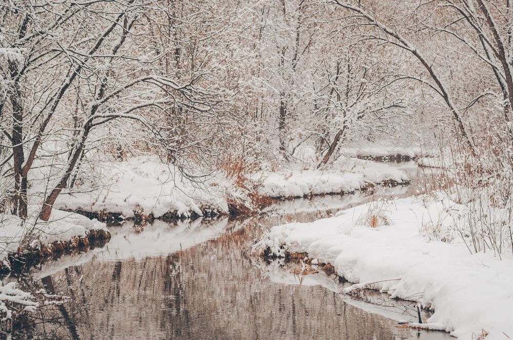 Зеркало-река /  Mirror river
