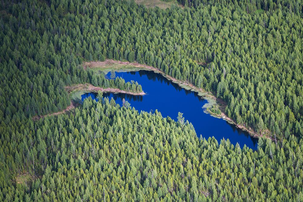 Сердца Земли