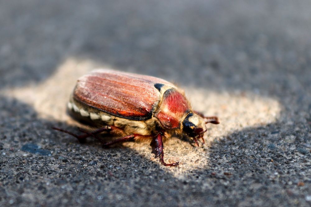 Вперёд, только вперёд!