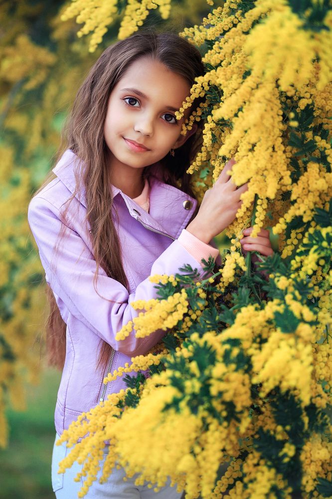 цветение мимозы