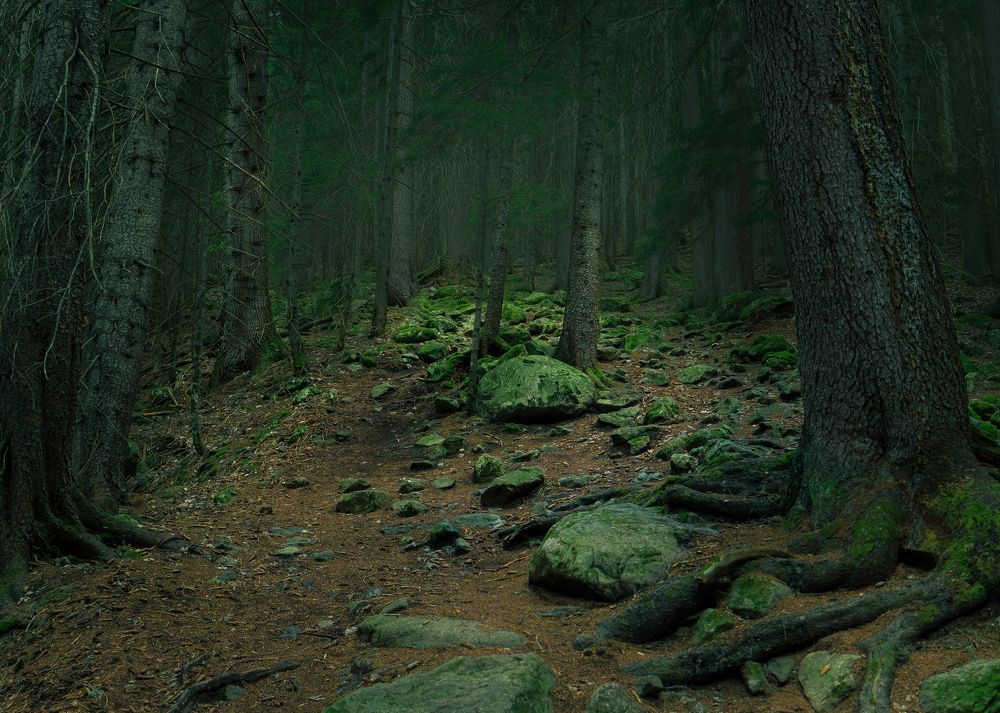 Фотография автора Руслан Комаров