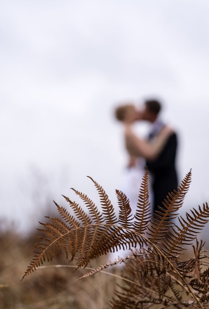 Ndërlidhjet jetësore!