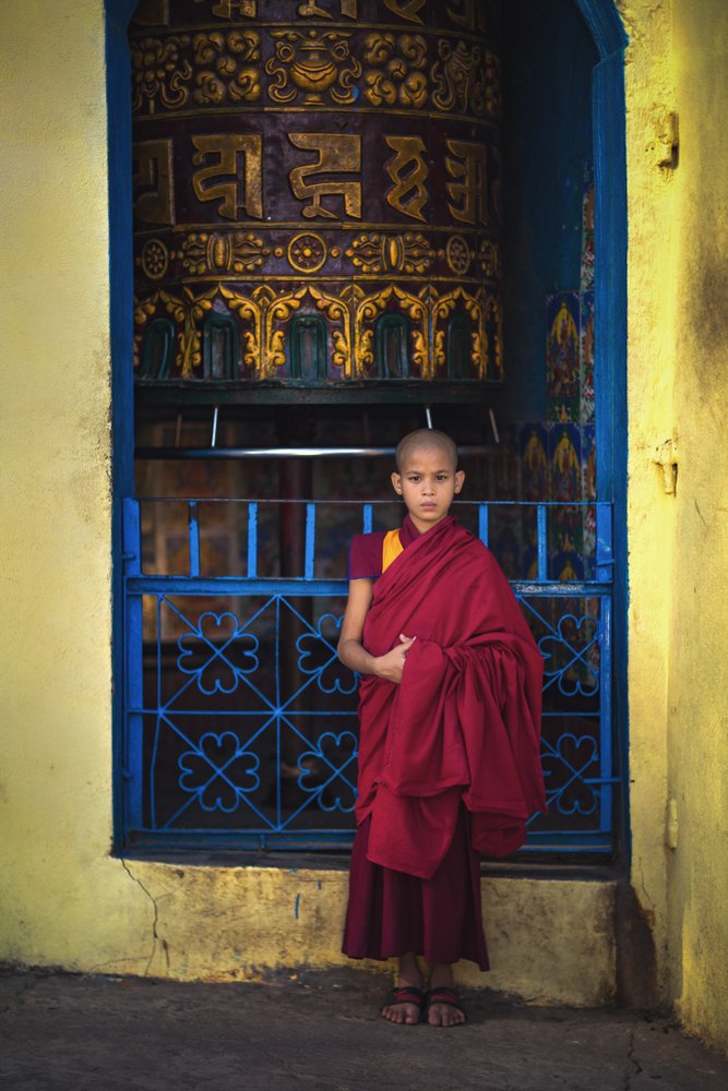 curosity , the biggest tutor for humanity