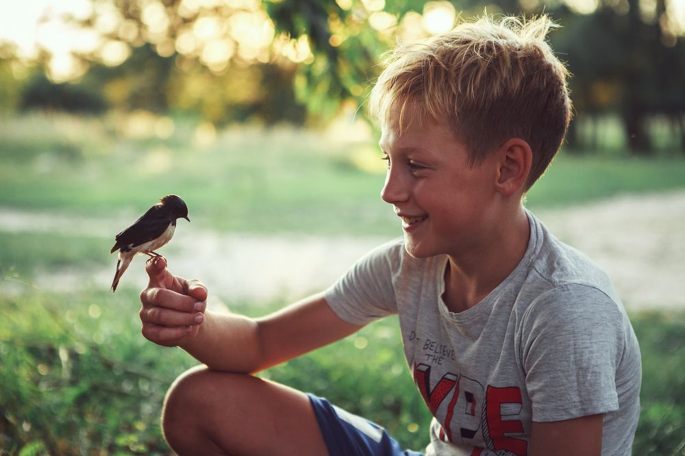 Пернатый друг