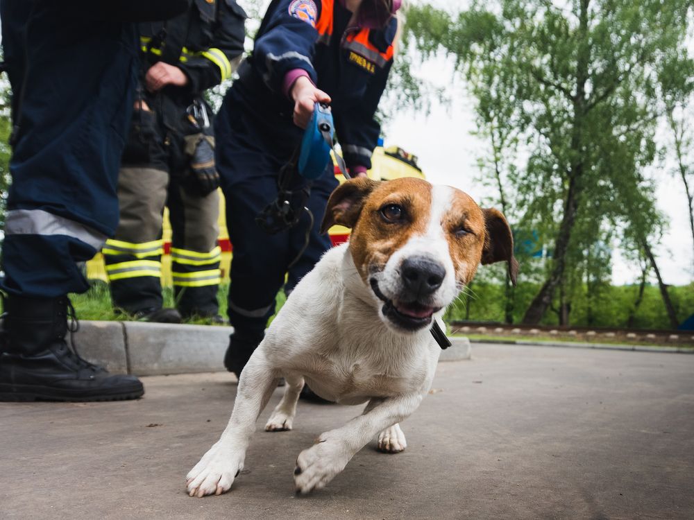 Маленький спасатель / Little lifeguard