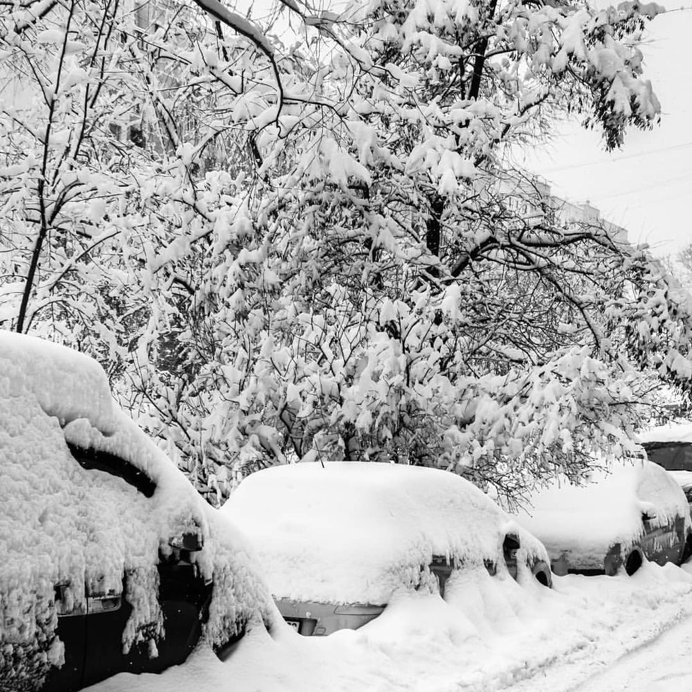 Снежное одеяло / Snow Blanket