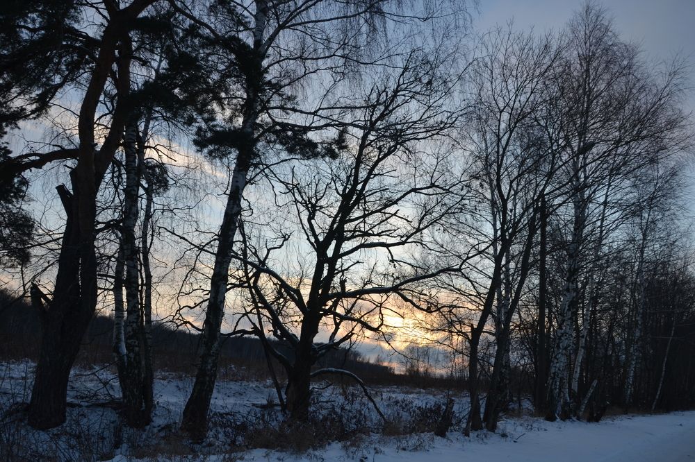 Зимний вечер.