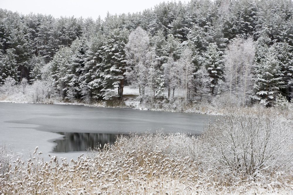 Морозное утро