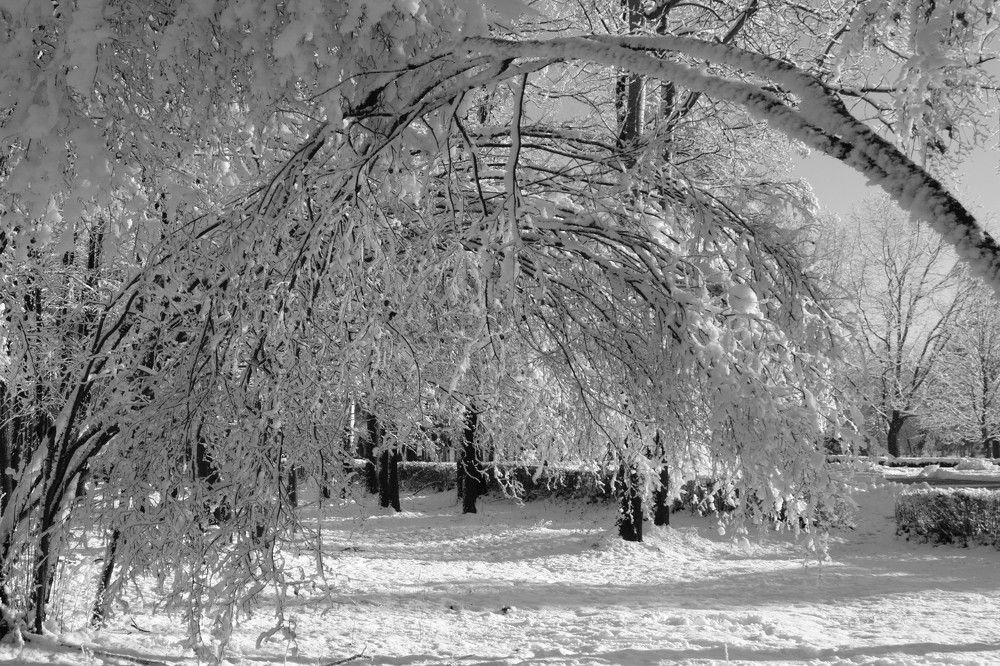 Снежная арка