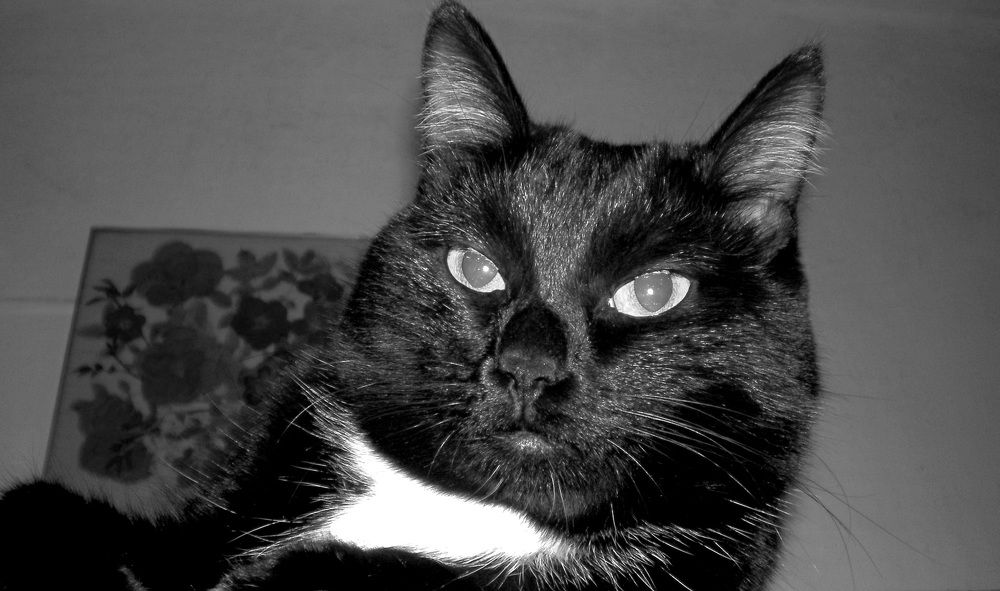 Федя. Портрет.