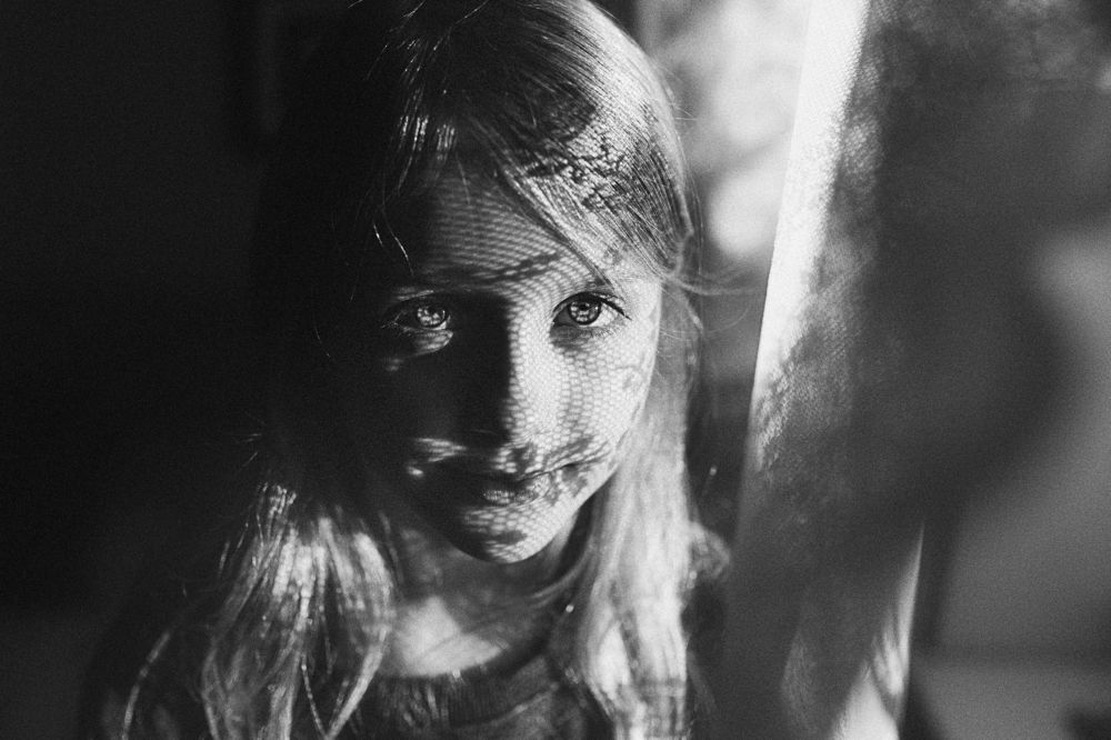 цветы солнца