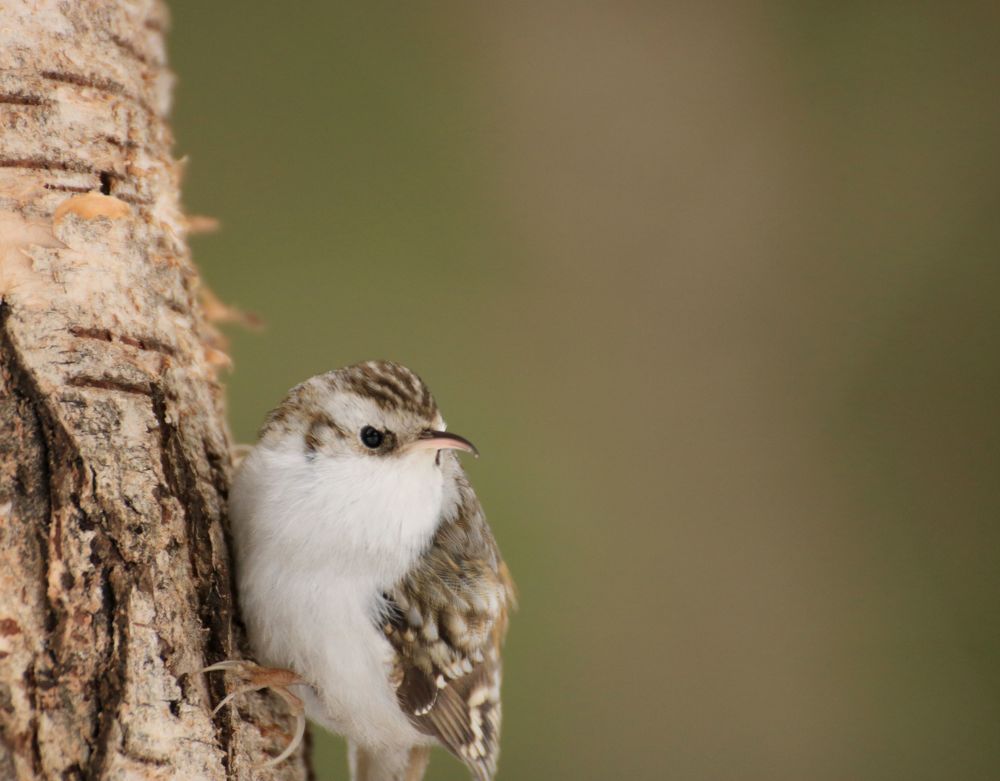 Ну что еще? Суровый взгляд