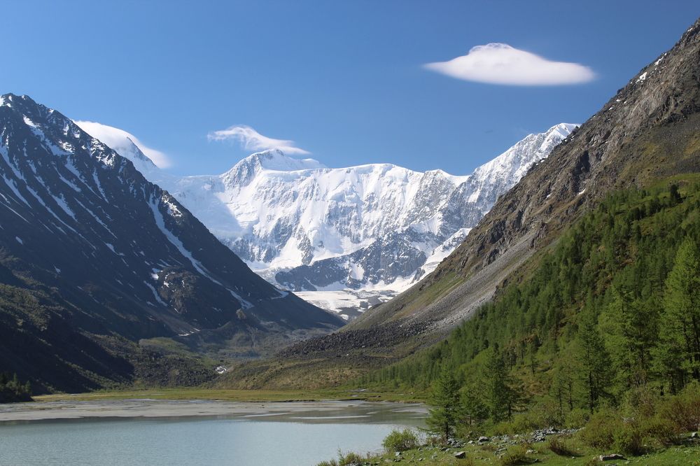 Красавица Белуха