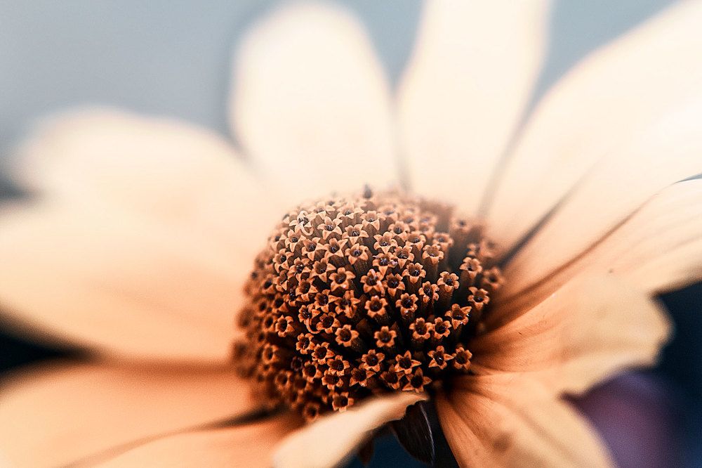 Окошки в мирок