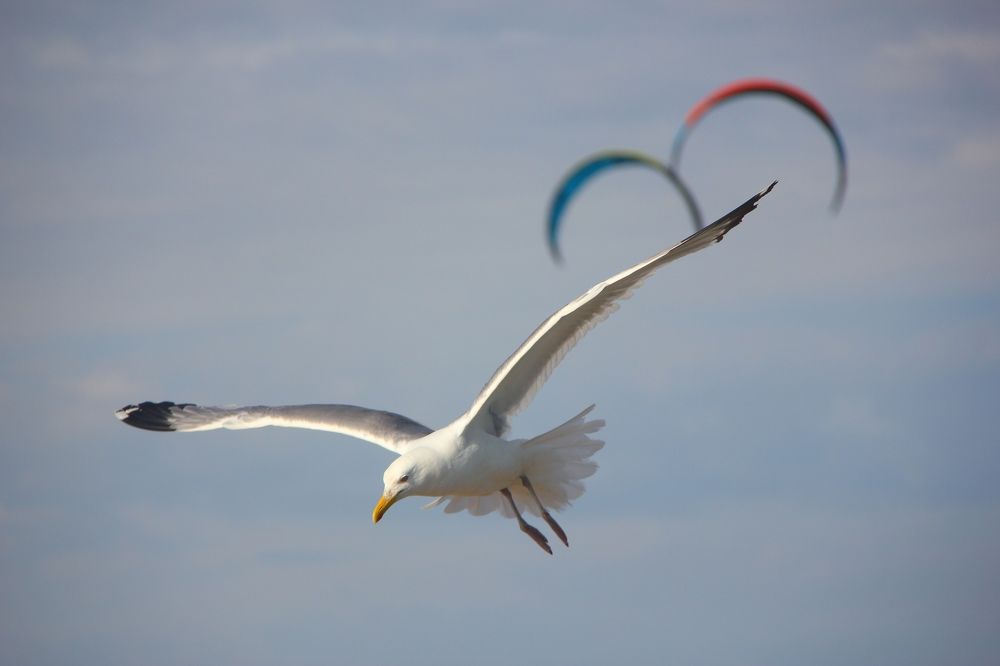 В одном направлении