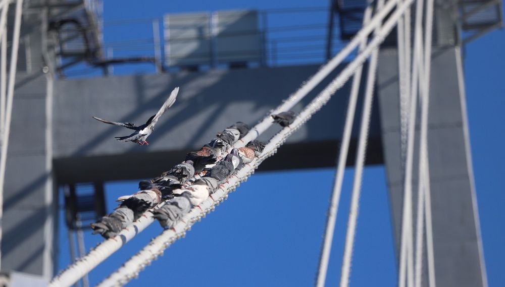 В одном направлении