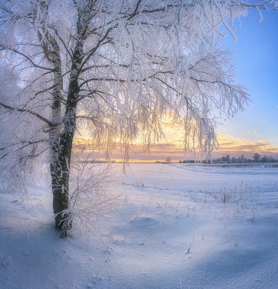 Photograph by Устюжанин Михаил