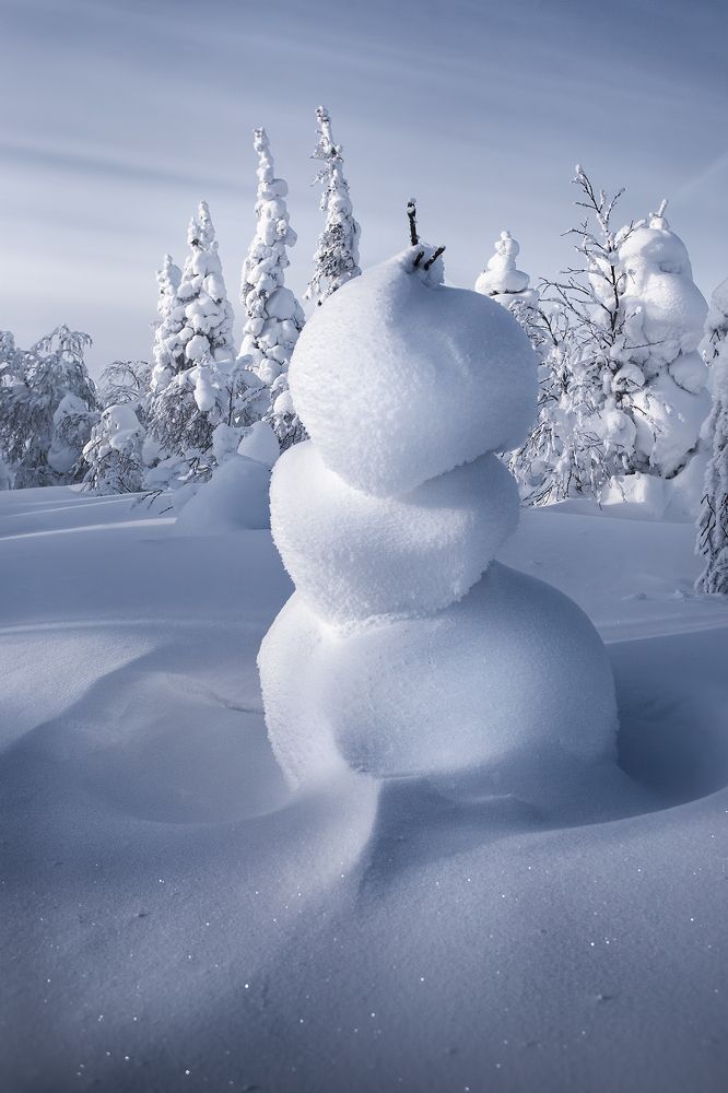 Снежная нимфа