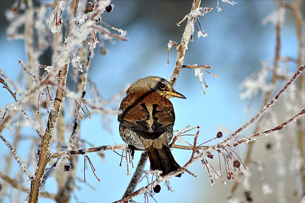 Photograph by Аннет