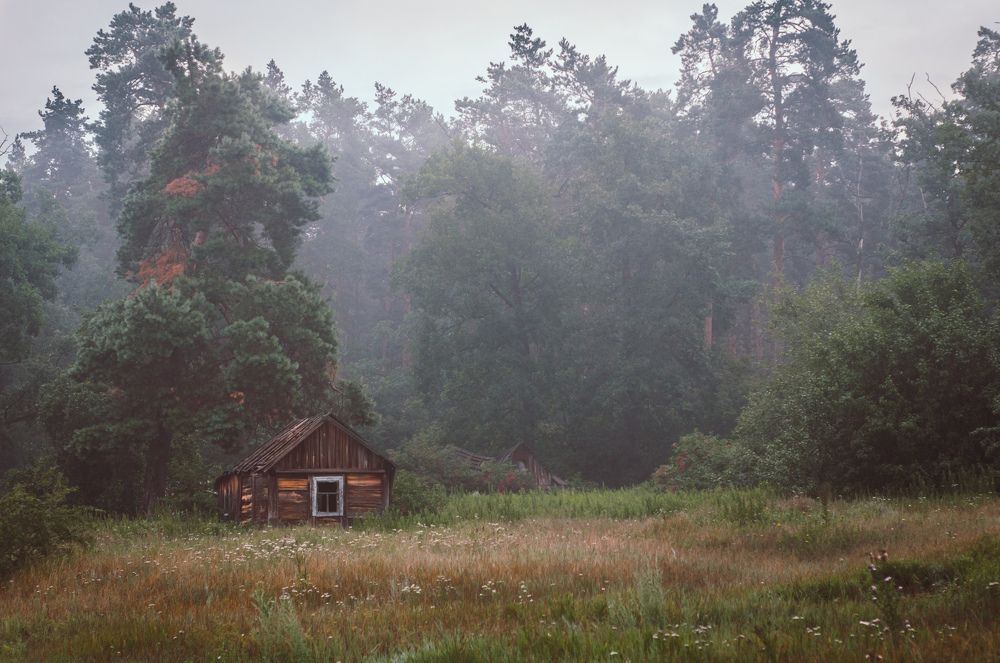 Проклятый старый дом