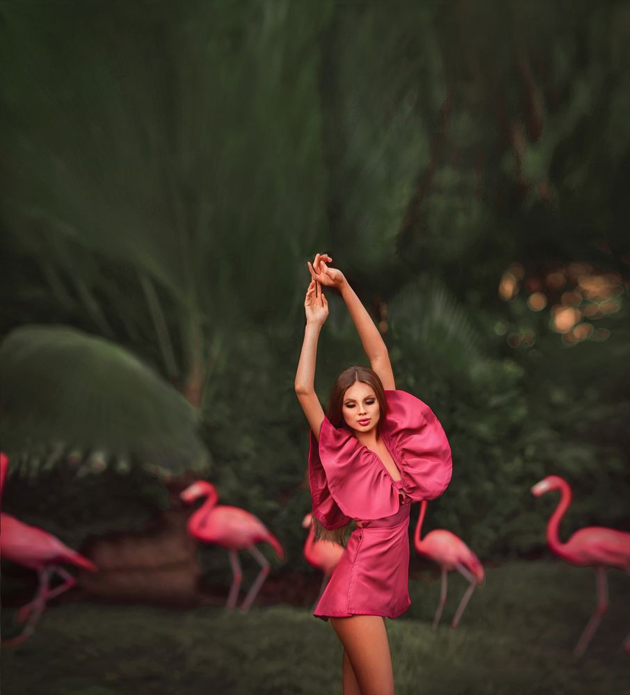 Куда бегут Фламинго