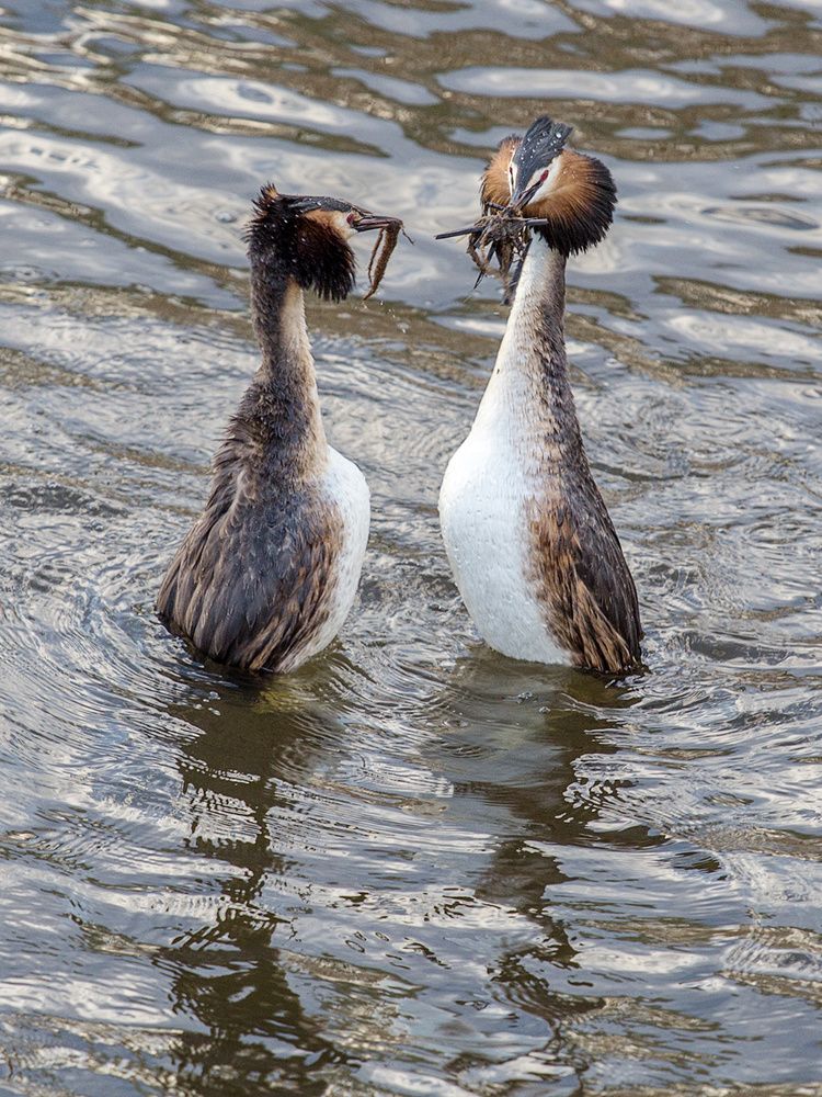 Фотография автора Леонид Никитин