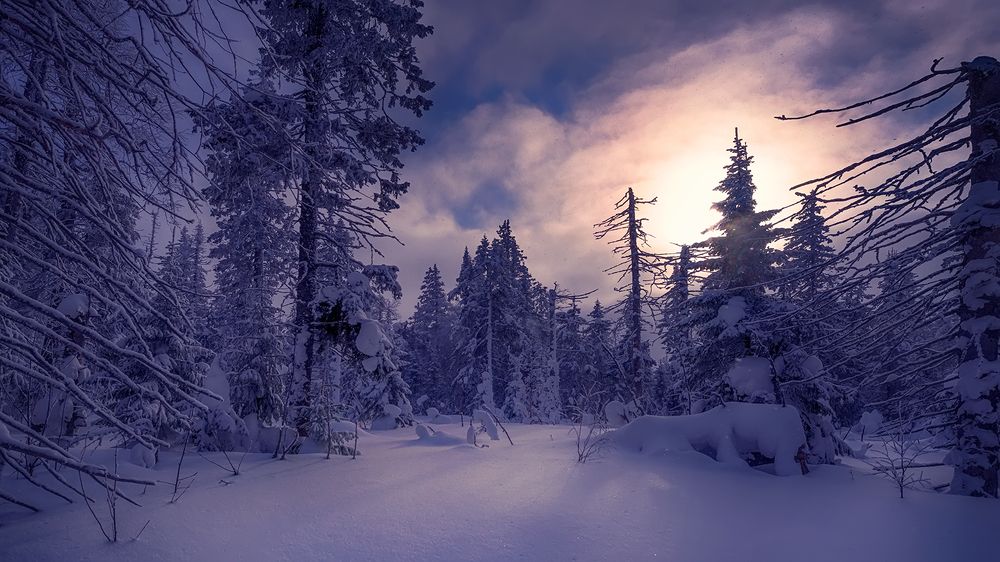 Зимняя сказка горы Белой