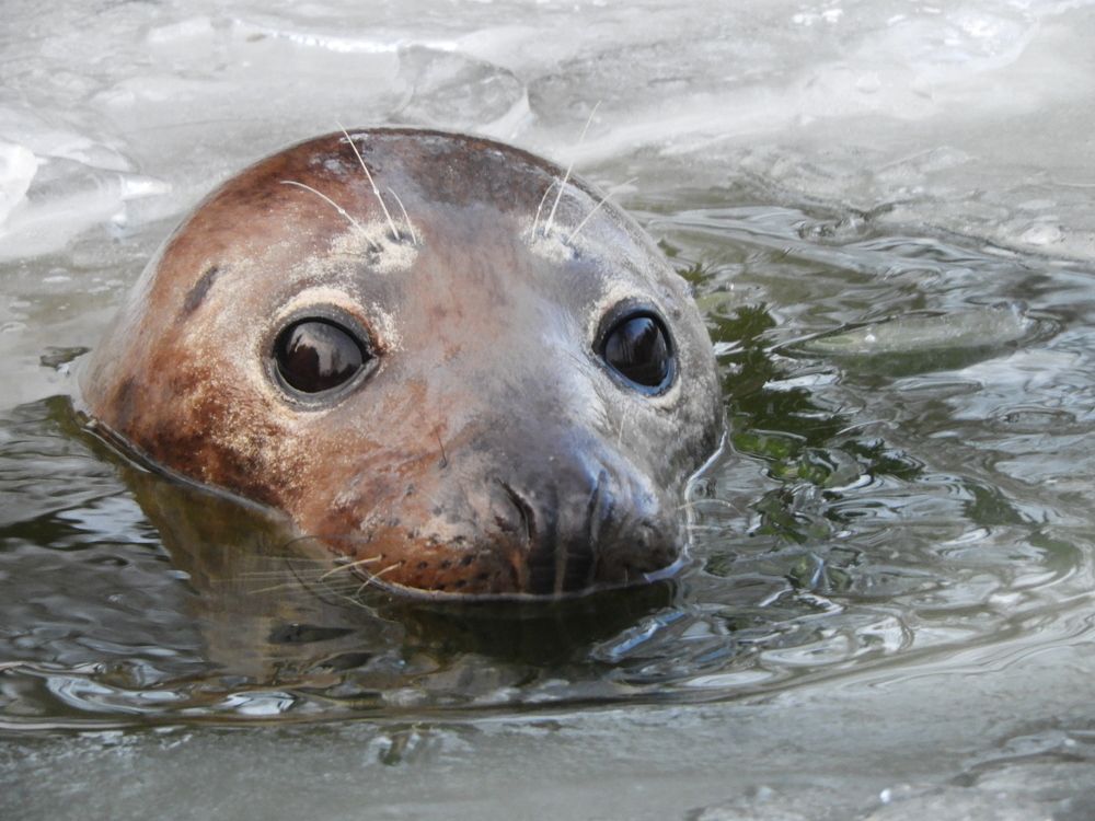 Фотография автора Vitalii Neborak